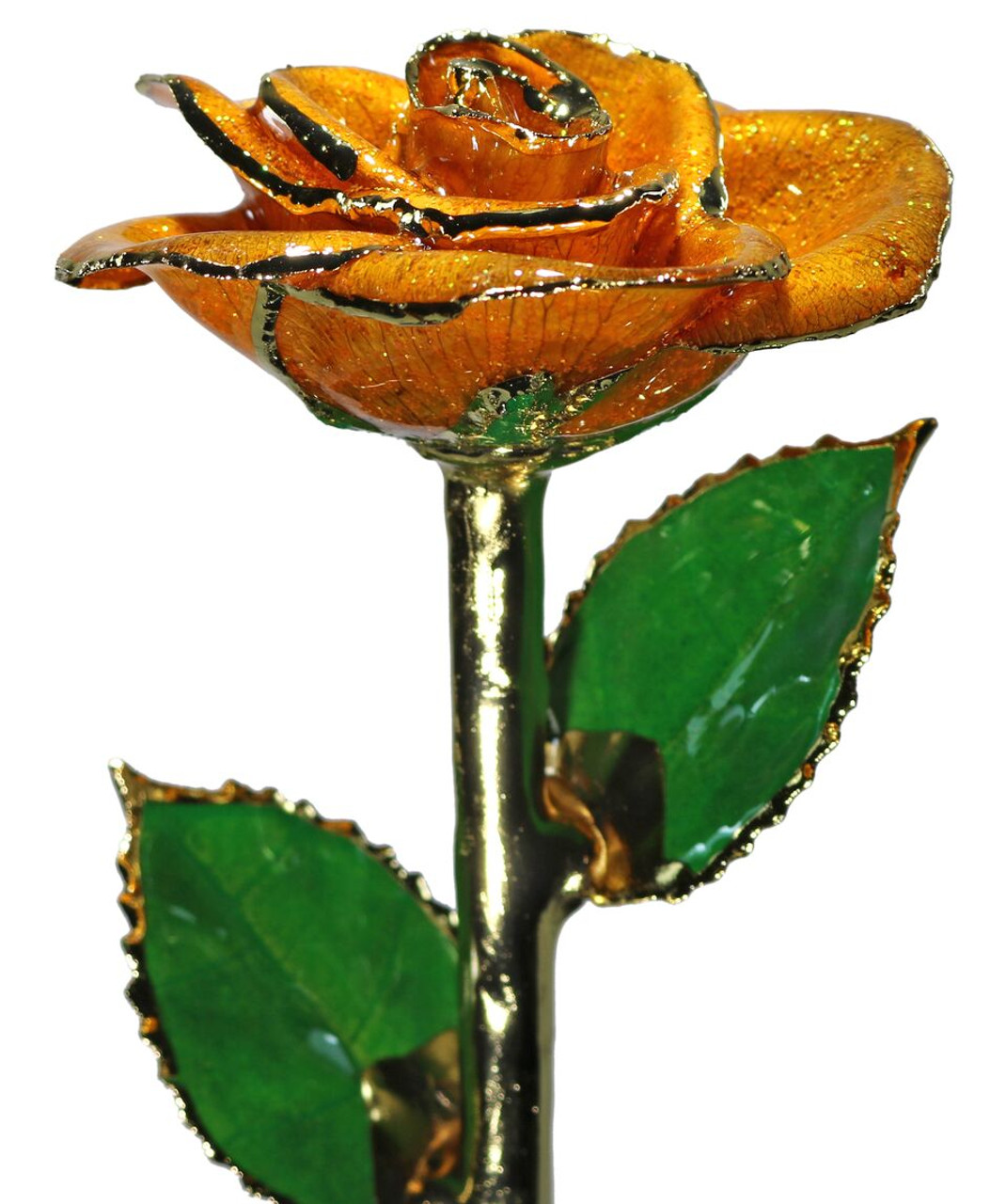 Orange Unique Rose Orange Unique Rose